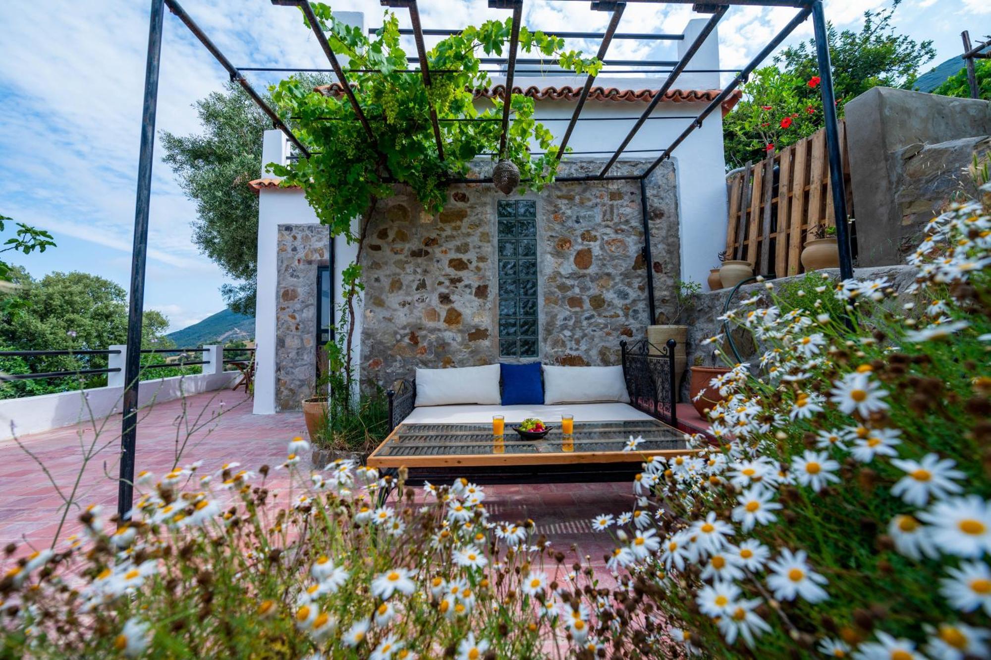Farm Finn Chefchaouen Exterior foto